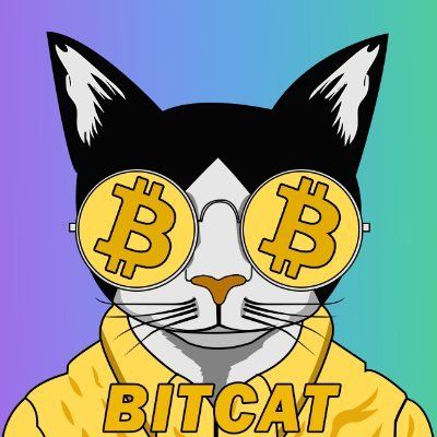 bitcat