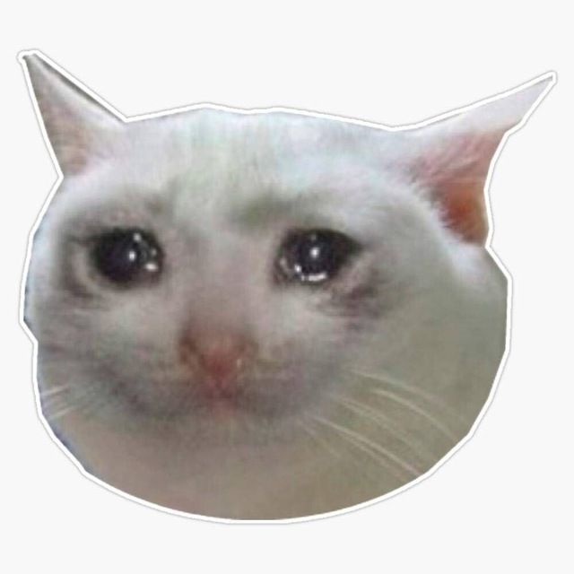 CRYING CAT