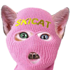 SKICAT