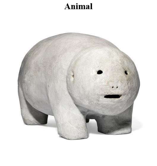 animal