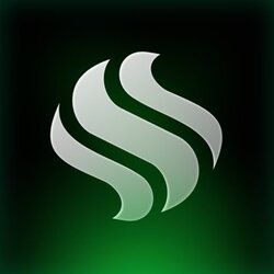 STM