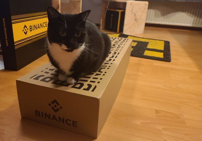 Binance Cat