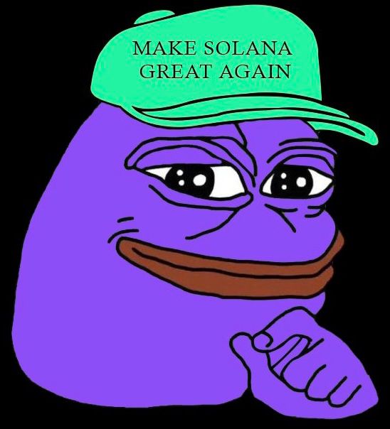 Purple Pepe