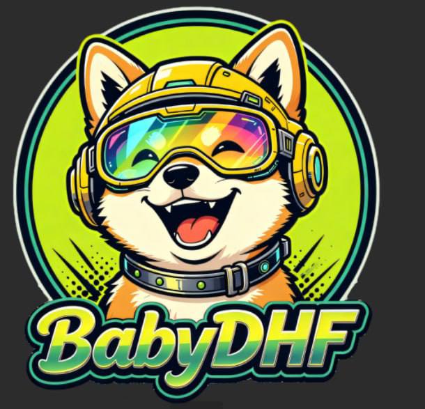 BabyDHF Token 钱包