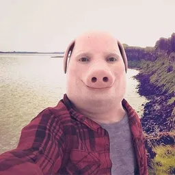 PORK