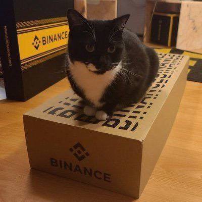 Binance Cat
