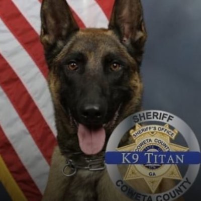 K-9 Killed in Shootout