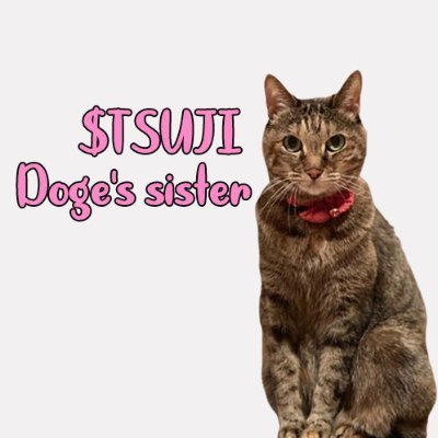 Tsutsuji | Doge's sister