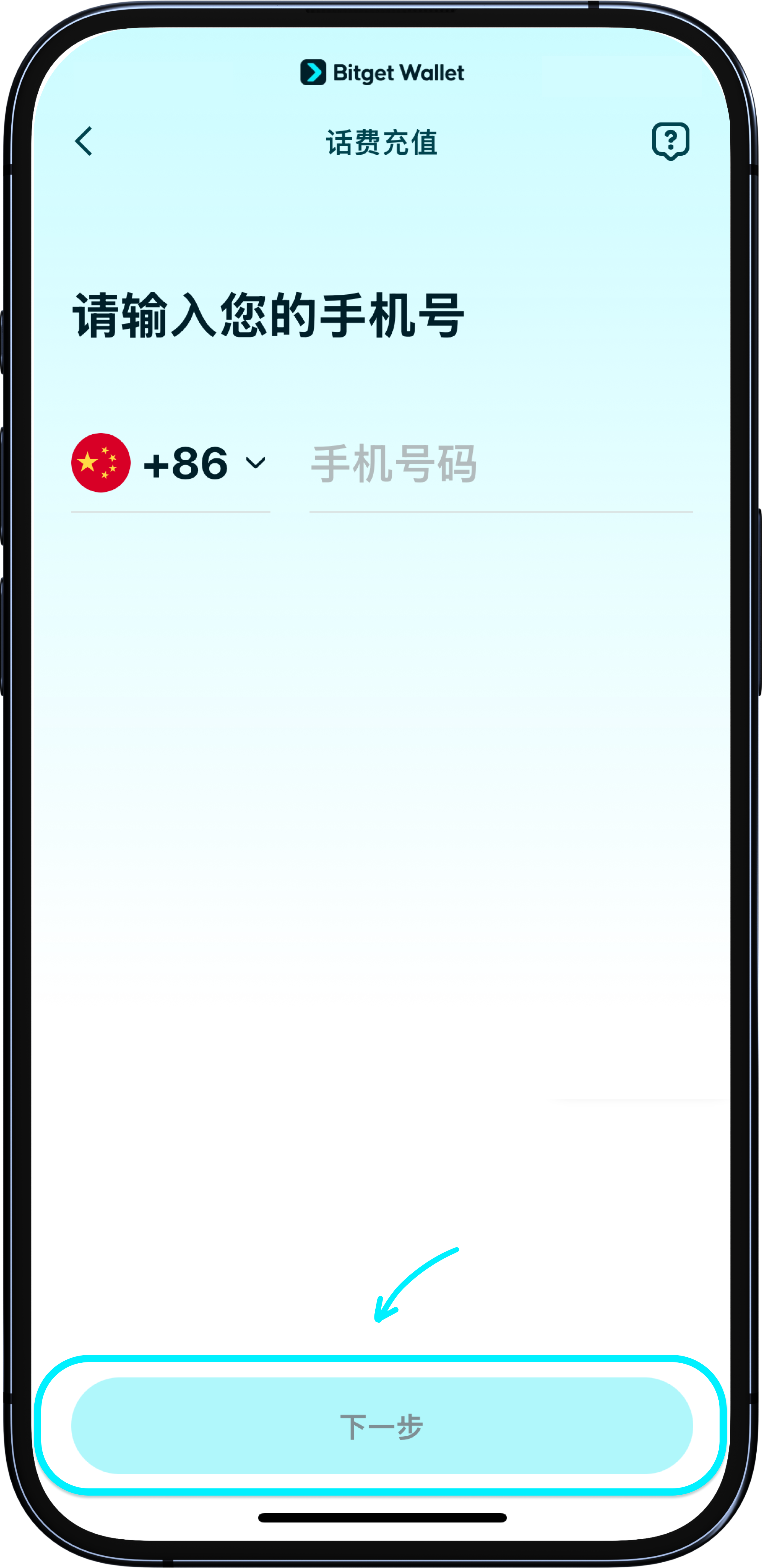 输入要充值的支持预支付的手机号码