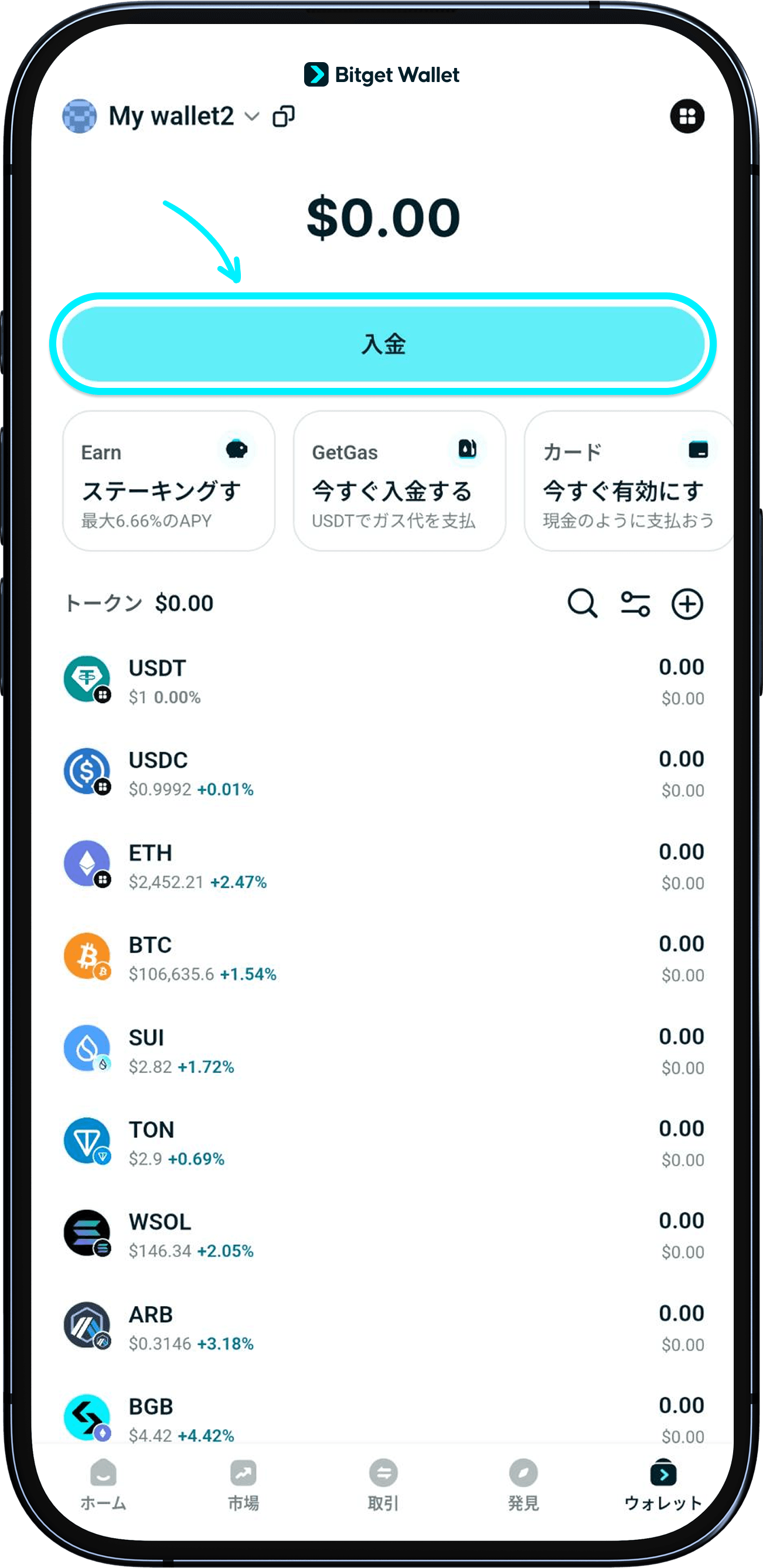 銀行振込、クレジットカード、その他の支払い方法で購入します