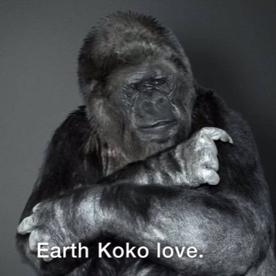 koko