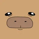 CAPY