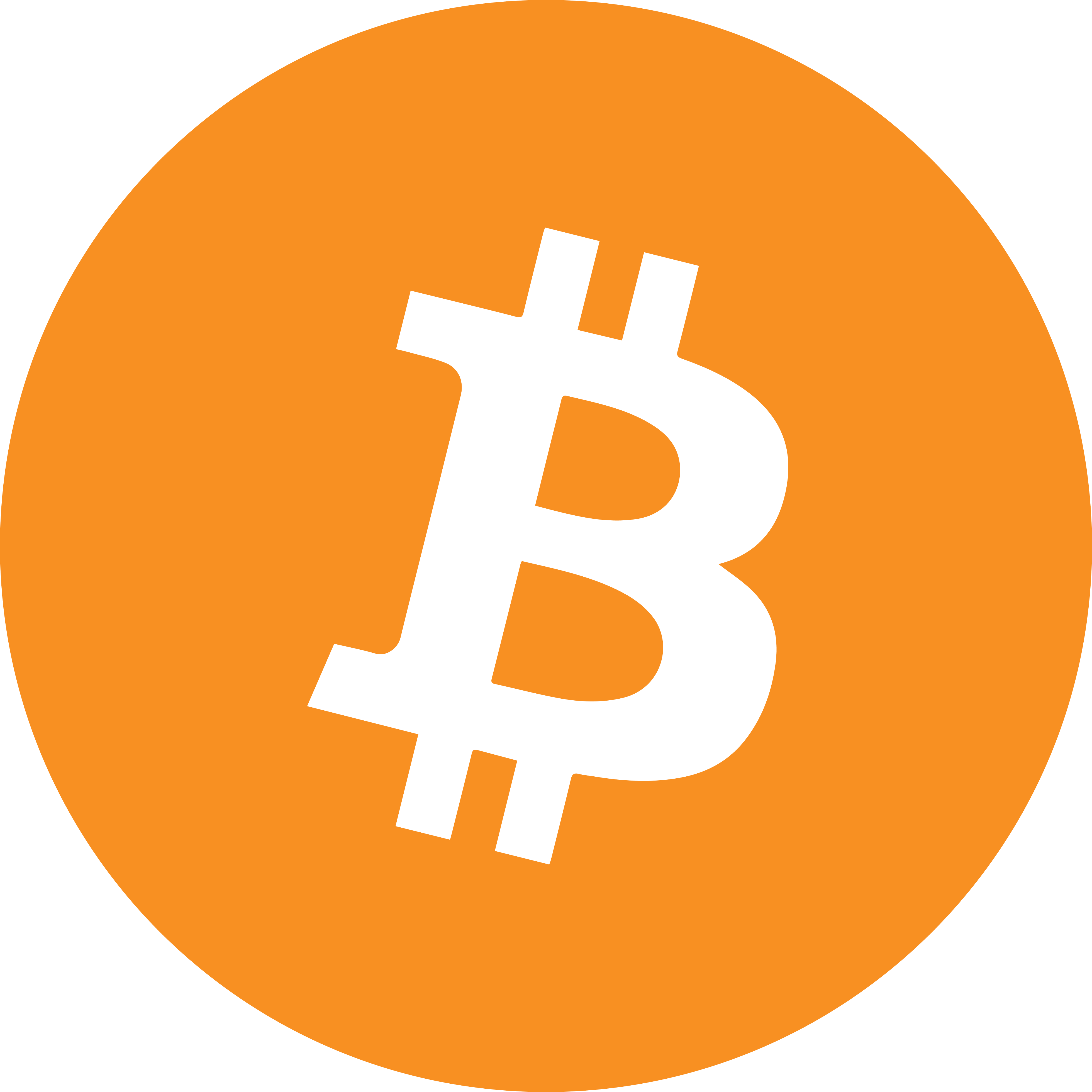 Portfel Bitcoin (BTC)
