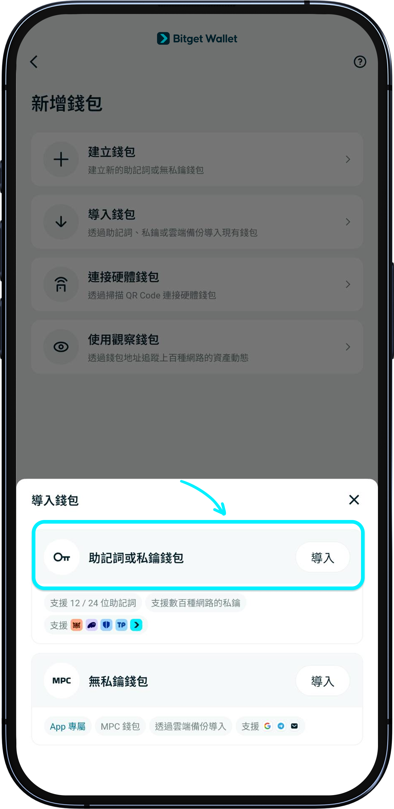 如何安全導入其他錢包