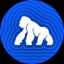 ApeCoin