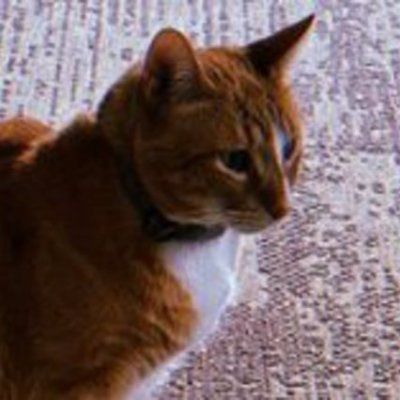 HOBBES