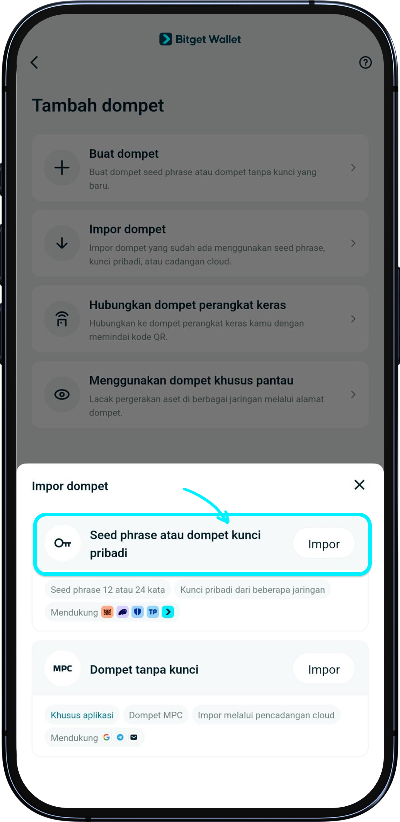 Cara aman mengimpor dompet lain