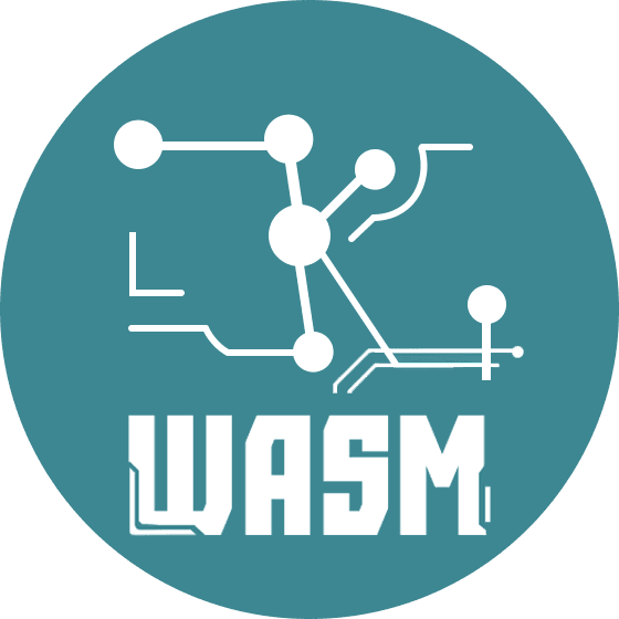 ZKWASM Token
