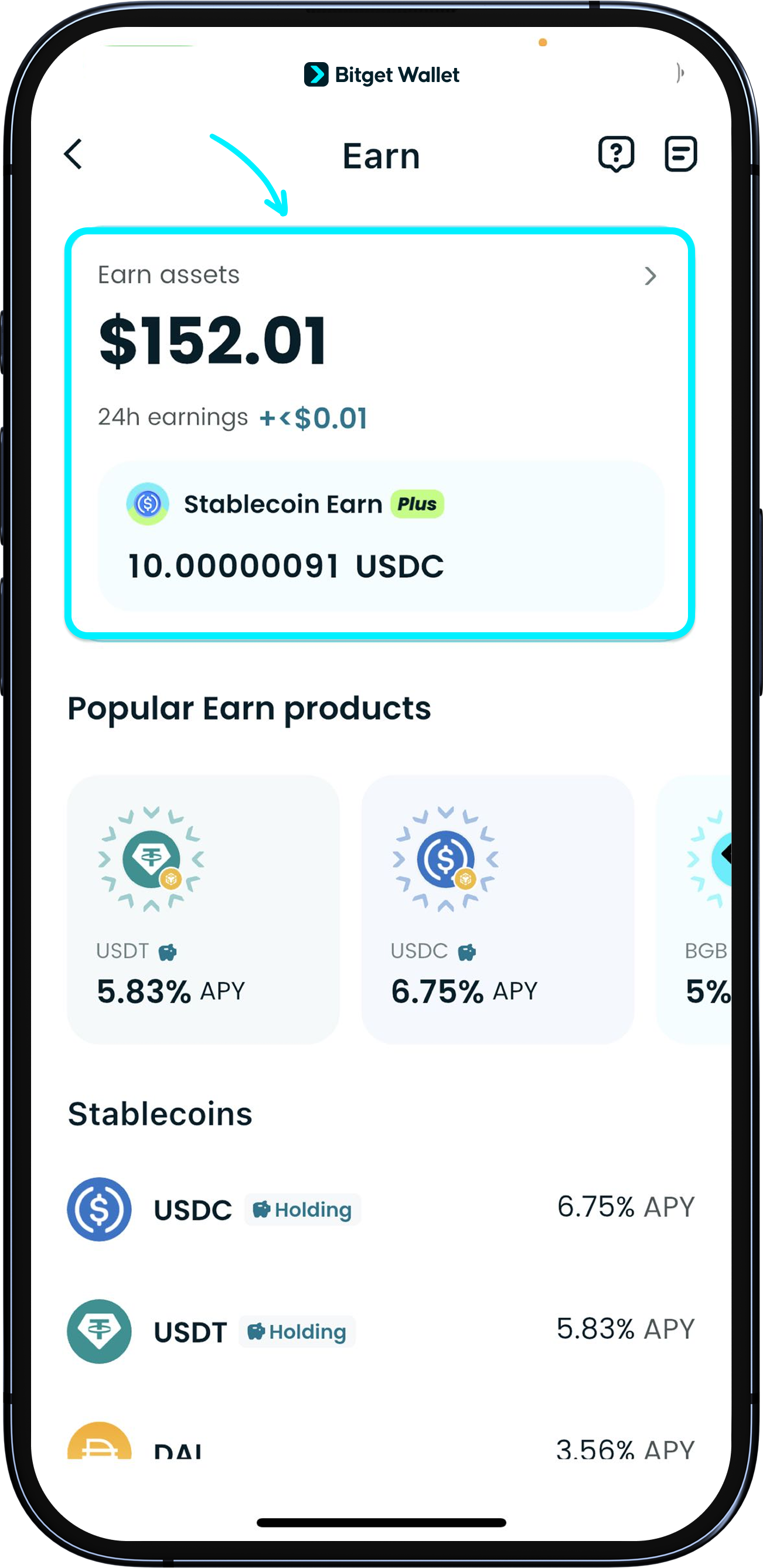 Checking total earnings