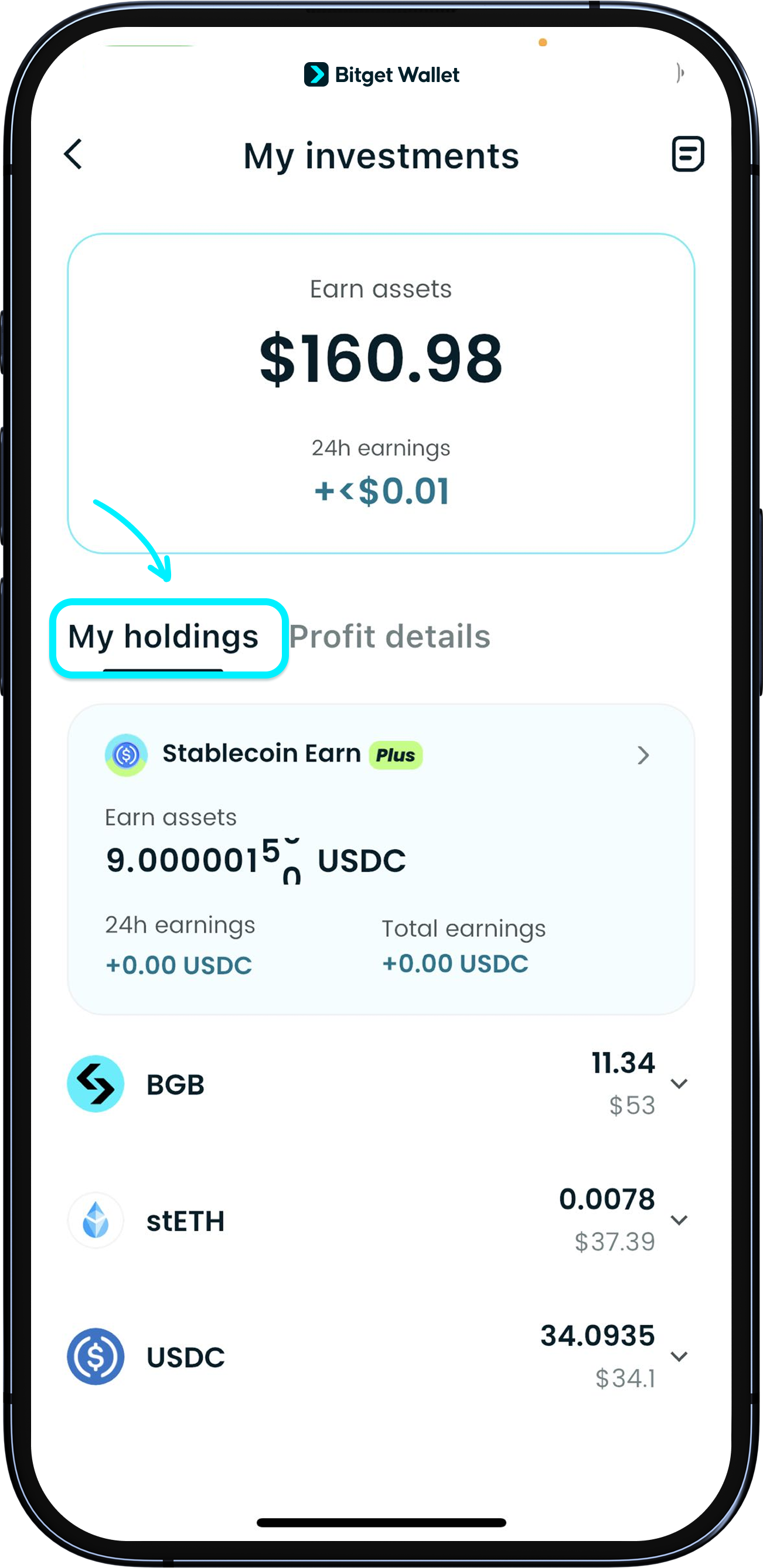 See your Stablecoin Earn Plus holdings