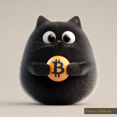 Bitcat