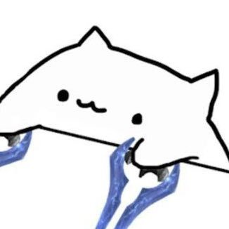 BONGO CAT