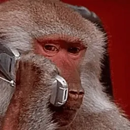 Monke Phone
