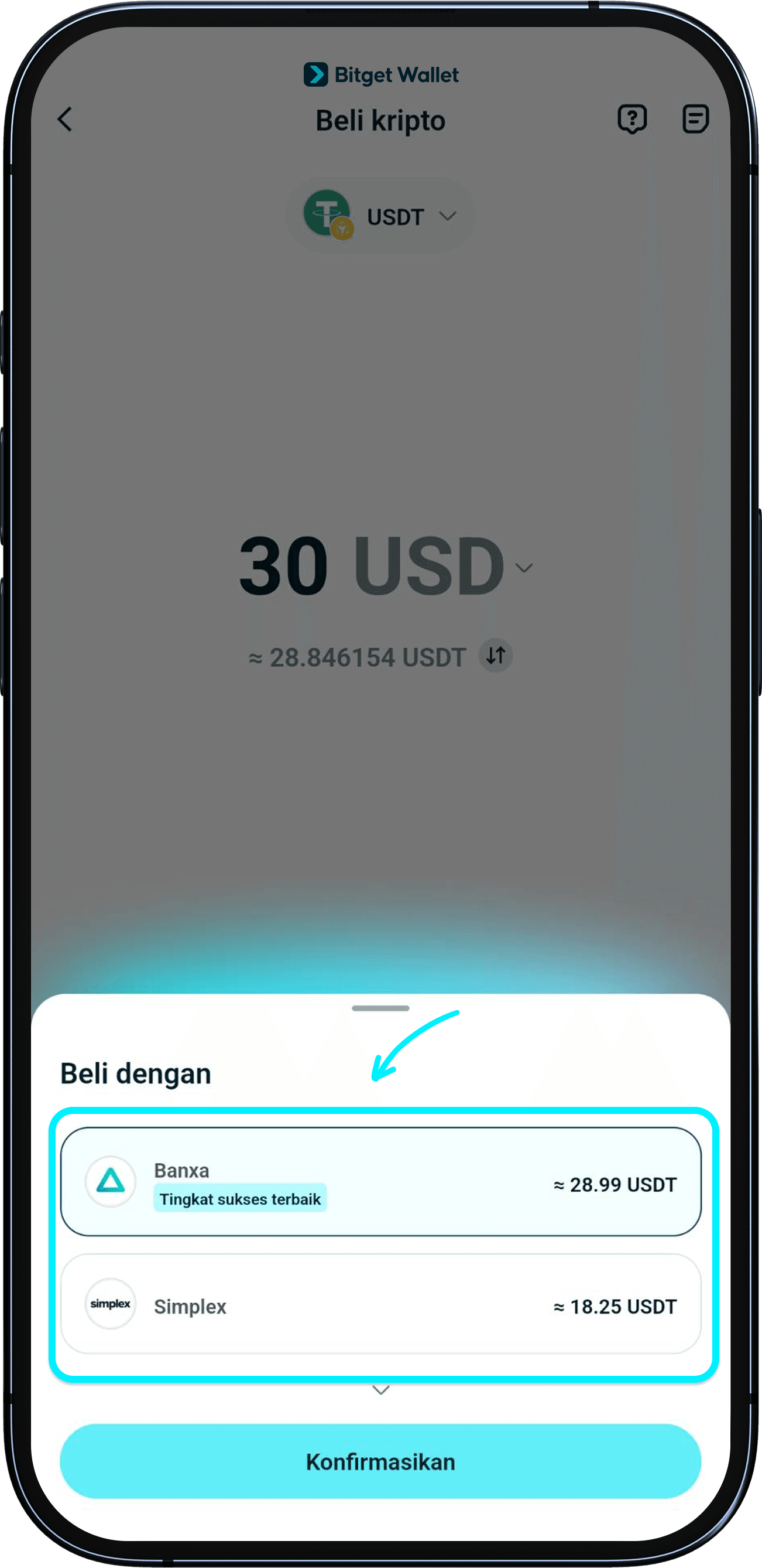 Pilih penyedia pembayaran