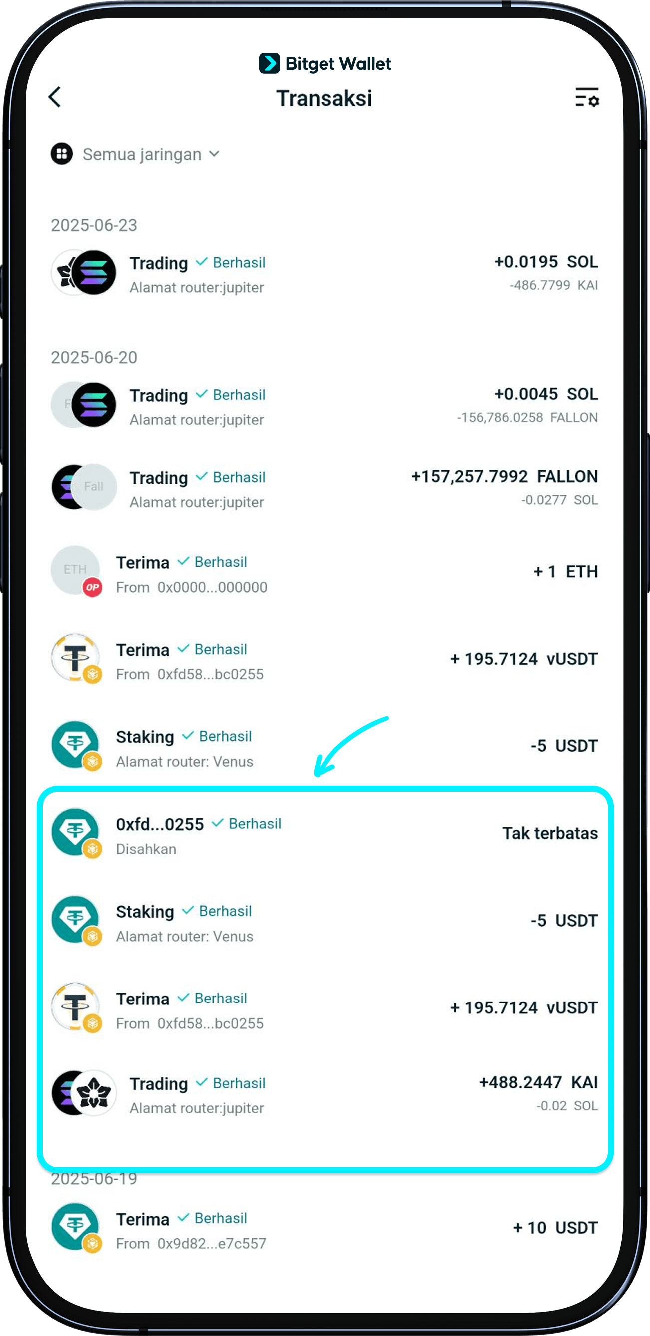 Memeriksa saldo kamu