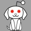 reddit dog