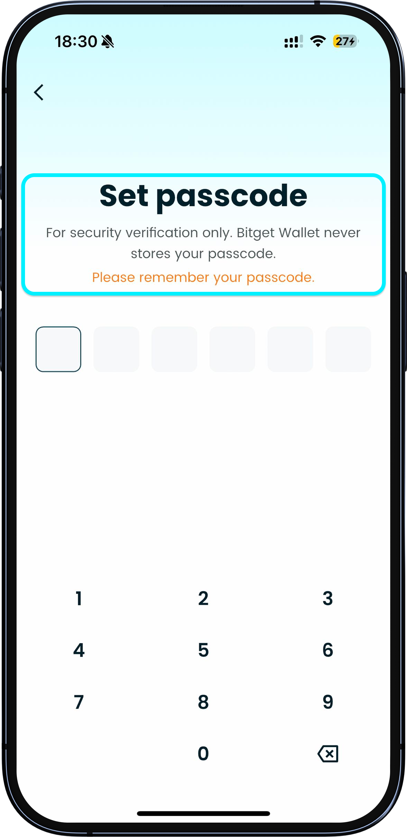 Legen Sie eine PIN für Ihre Wallet fest.