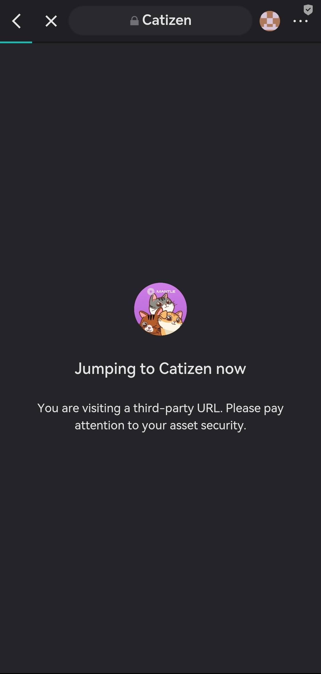 Download Catizen Wallet Steps