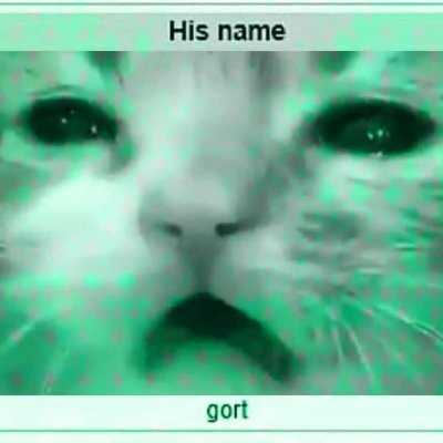 His name gort 