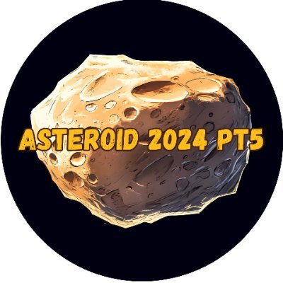 Asteroid 2024 PT5