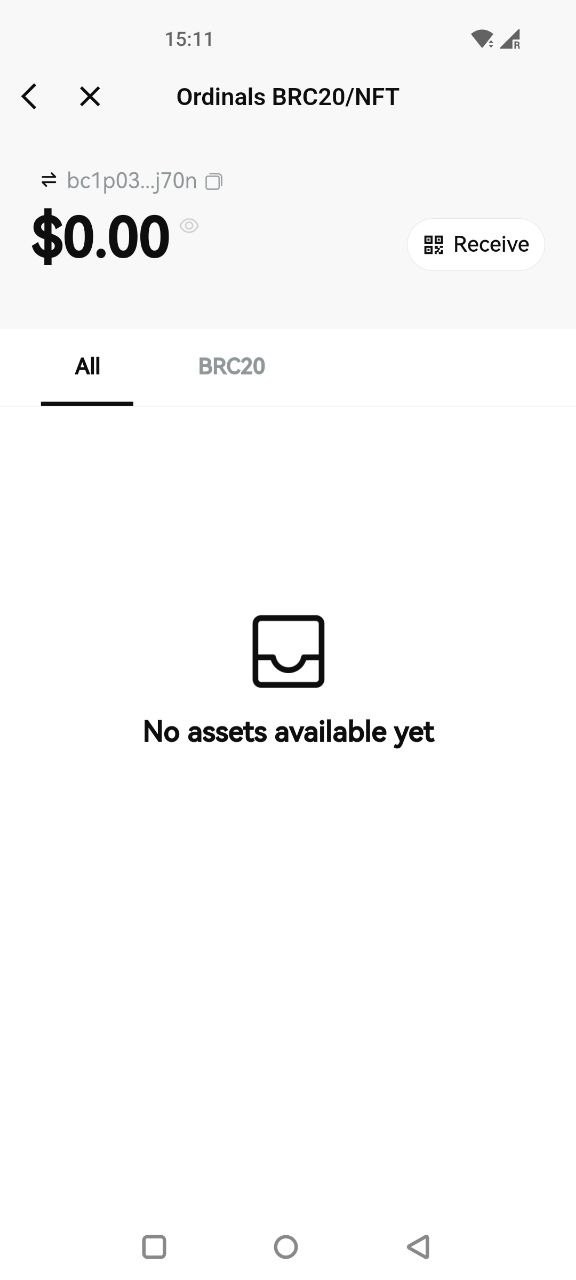 Download BRC20 Wallet