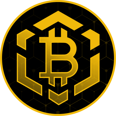 Bitcoin BSC