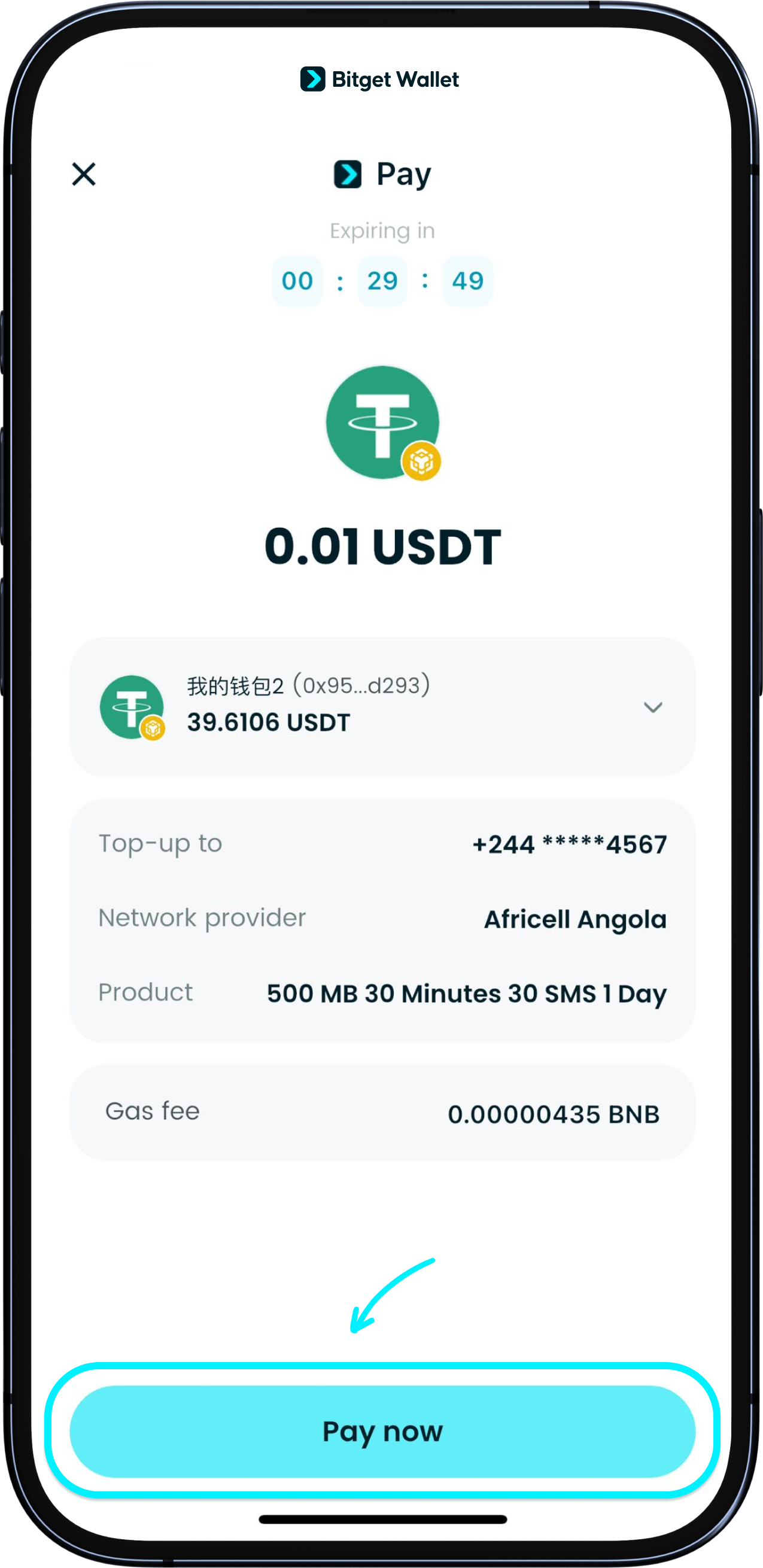 Choose payment token and prepare gas fees