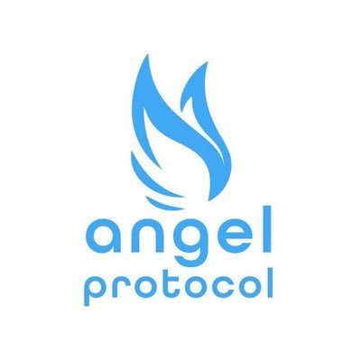 `Angel Protocol`
