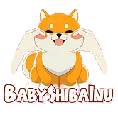 BABYSHIBAINU token on BNB Chain