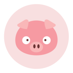 piggy