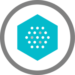 Nami Corporation Token
