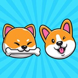 SHICO token on BNB Chain